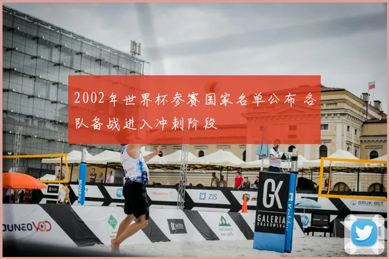 2002年世界杯参赛国家名单公布 各队备战进入冲刺阶段