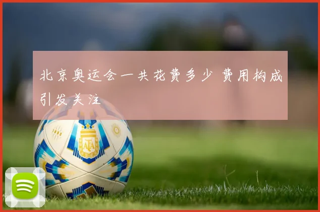 北京奥运会一共花费多少 费用构成引发关注