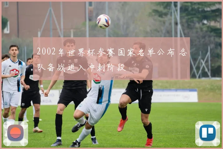2002年世界杯参赛国家名单公布 各队备战进入冲刺阶段