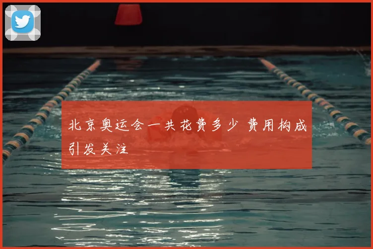 北京奥运会一共花费多少 费用构成引发关注