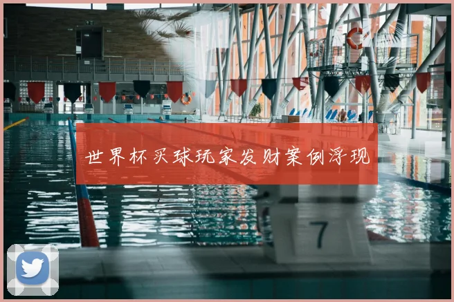世界杯买球玩家发财案例浮现